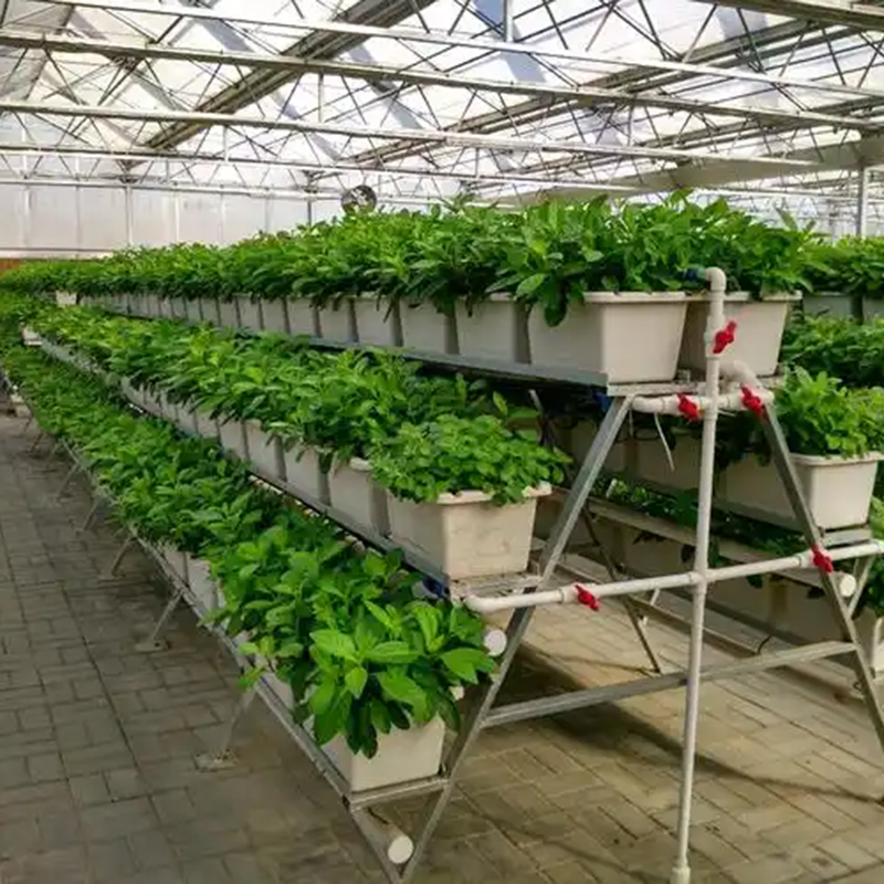 曲靖市植物工厂鱼菜共生 - 方案